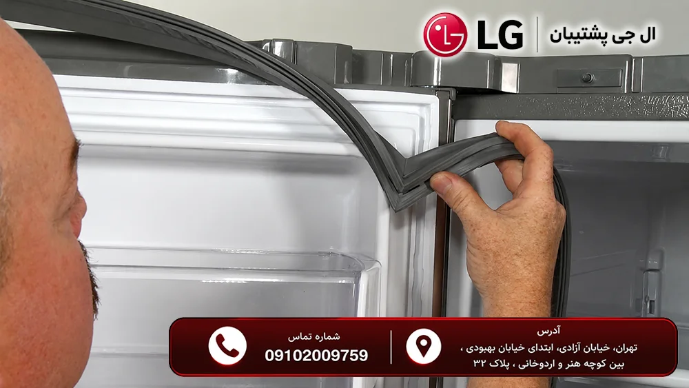 قطعات یدکی یخچال فریزر ال جی